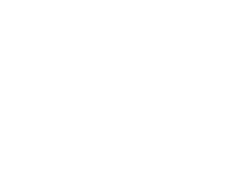 loading icon